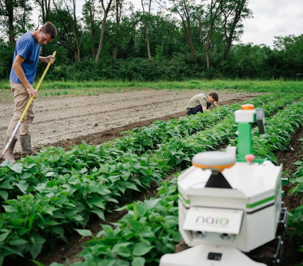 Weeding robot and humans in a row crop