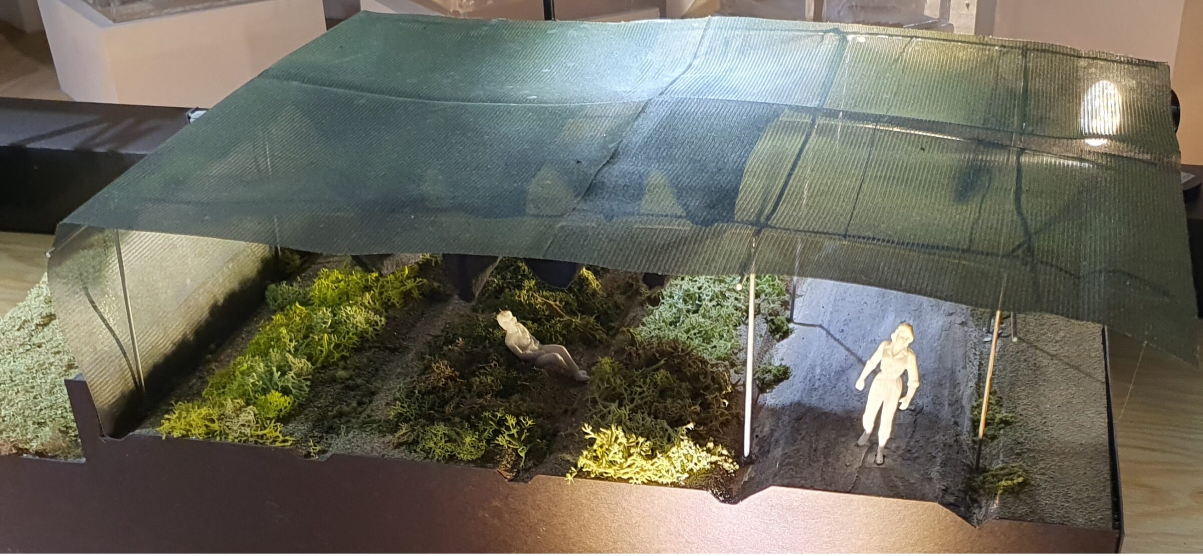 a model of a vegetable plot cover by a permeable cover about 2.4 m above the crop